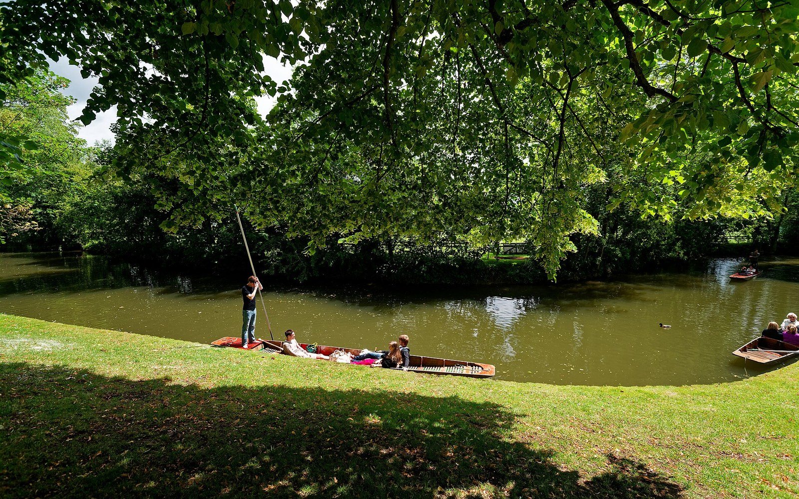 punts moored on the Cherwell under trees